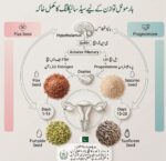 PCOS Seed Cycling Kit - Image 3