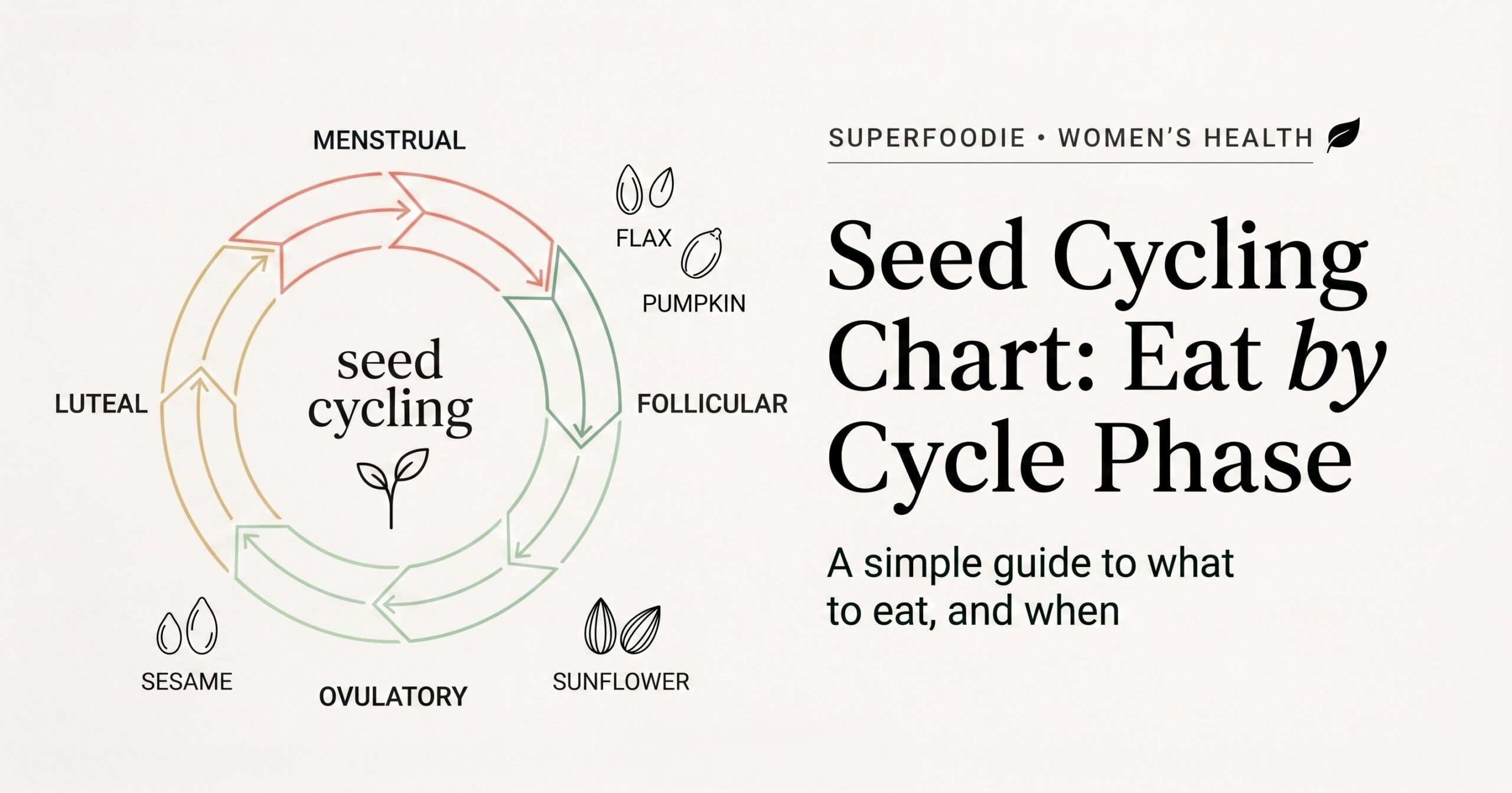 Seed Cycling Chart: What to Eat Each Phase of Your Cycle
